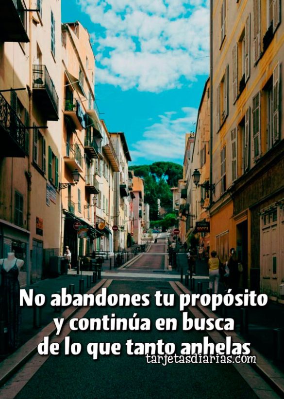 NO ABANDONES TU PROPÓSITO Y CONTINÚA EN BUSCA DE LO QUE TANTO ANHELAS