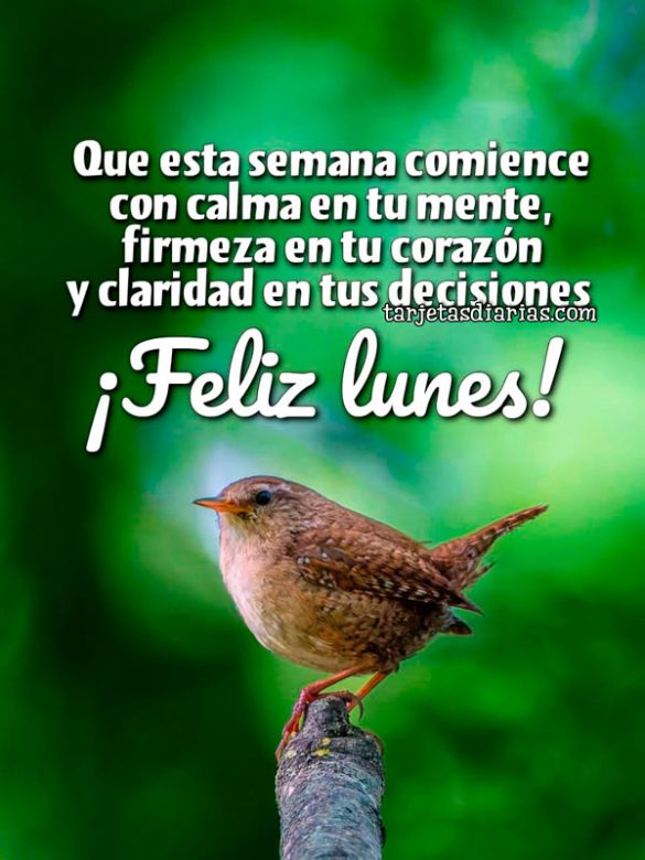 QUE ESTA SEMANA COMIENCE CON CALMA EN TU MENTE, FIRMEZA EN TU CORAZÓN Y CLARIDAD EN TUS DECISIONES. ¡FELIZ LUNES!