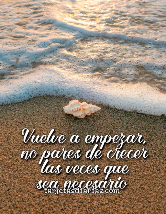 VUELVE A EMPEZAR, NO PARES DE CRECER LAS VECES QUE SEA NECESARIO