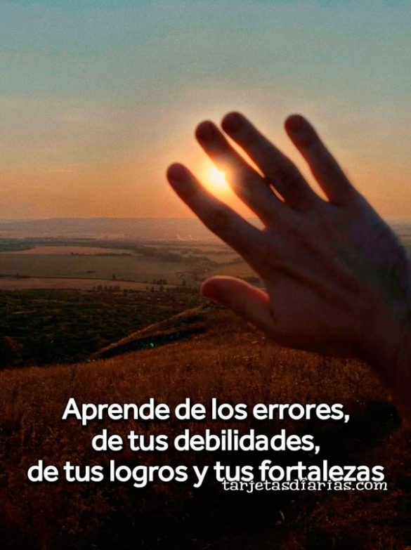 APRENDE DE LOS ERRORES, DE TUS DEBILIDADES, DE TUS LOGROS Y TUS FORTALEZAS