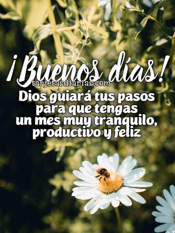 ¡BUENOS DÍAS! DIOS GUIARÁ TUS PASOS PARA QUE TENGAS UN MES MUY TRANQUILO Y PRODUCTIVO