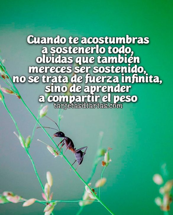 CUANDO TE ACOSTUMBRAS A SOSTENERLO TODO, OLVIDAS QUE TAMBIÉN MERECES SER SOSTENIDO
