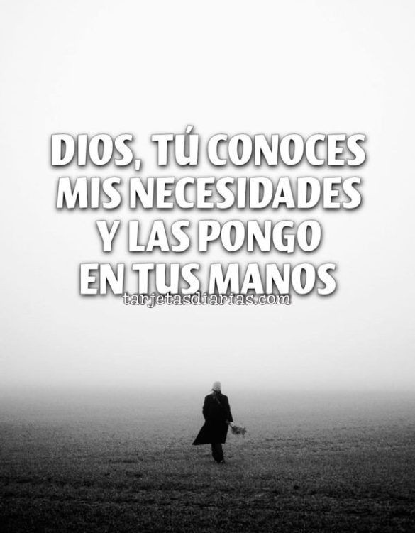 DIOS, TÚ CONOCES MIS NECESIDADES Y LAS PONGO EN TUS MANOS
