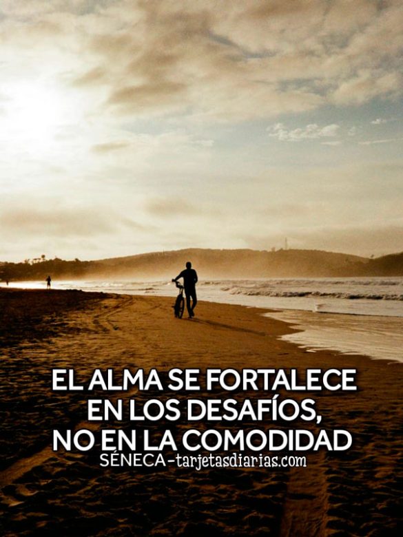 EL ALMA SE FORTALECE EN LOS DESAFÍOS, NO EN LA COMODIDAD