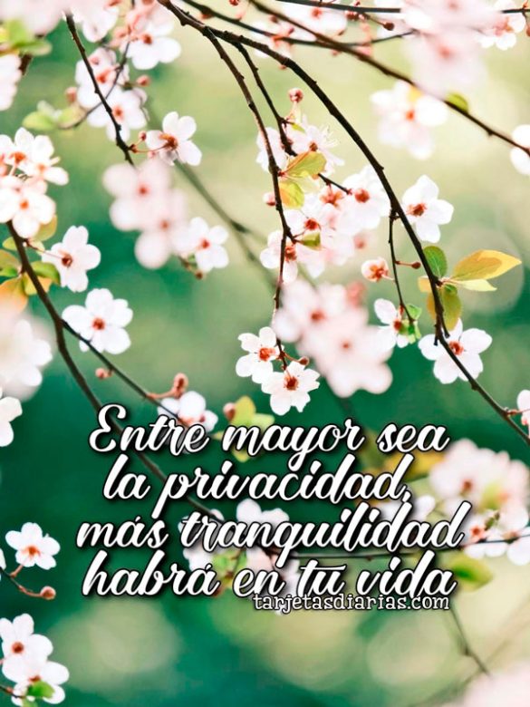 ENTRE MAYOR SEA LA PRIVACIDAD, MÁS TRANQUILIDAD HABRÁ EN TU VIDA