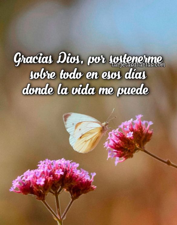 GRACIAS DIOS, POR SOSTENERME SOBRE TODO EN ESOS DÍAS DONDE LA VIDA ME PUEDE