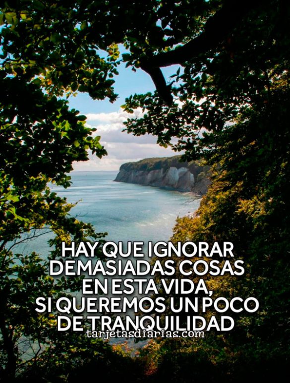 HAY QUE INGNORAR DEMASIADAS COSAS EN ESTA VIDA, SI QUEREMOS UN POCO DE TRANQUILIDAD