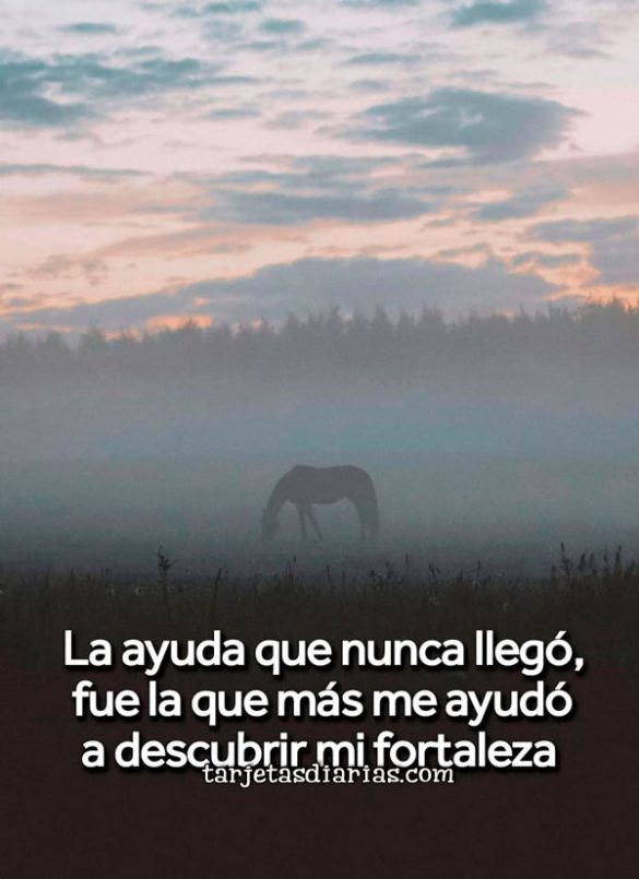 LA AYUDA QUE NUNCA LLEGÓ, FUE LA QUE MÁS ME AYUDÓ A DESCUBRIR MI FORTALEZA