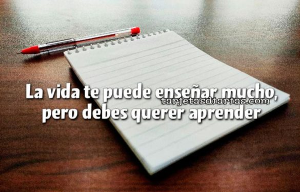 LA VIDA TE PUEDE ENSEÑAR MUCHO, PERO DEBES QUERER APRENDER