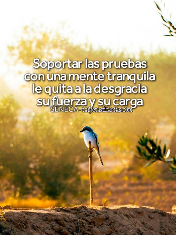 SOPORTAR LAS PRUEBAS CON UNA MENTE TRANQUILA LE QUITA A LA DESGRACIA SU FUERZA Y SU CARGA