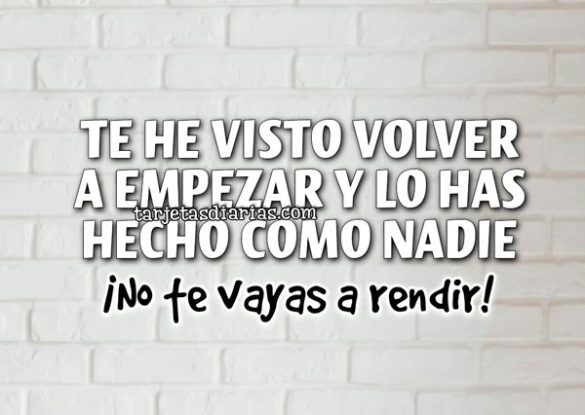 TE HE VISTO VOLVER A EMPEZAR Y LO HAS HECHO COMO NADIE