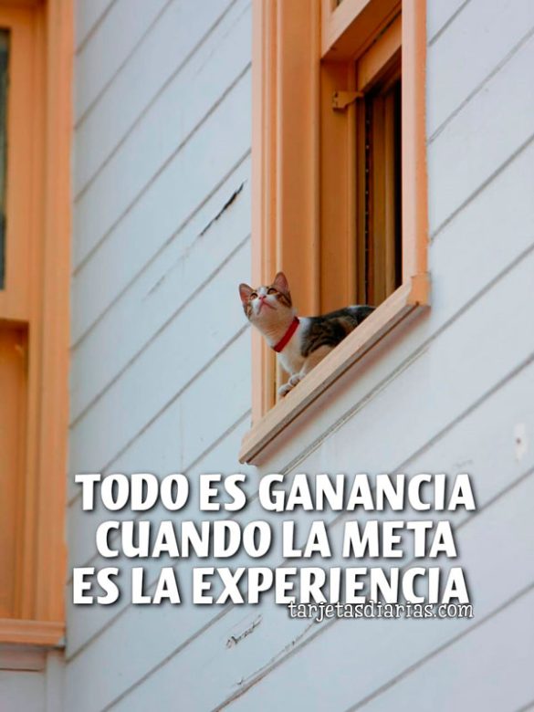 TODO ES GANANCIA CUANDO LA META ES LA EXPERIENCIA
