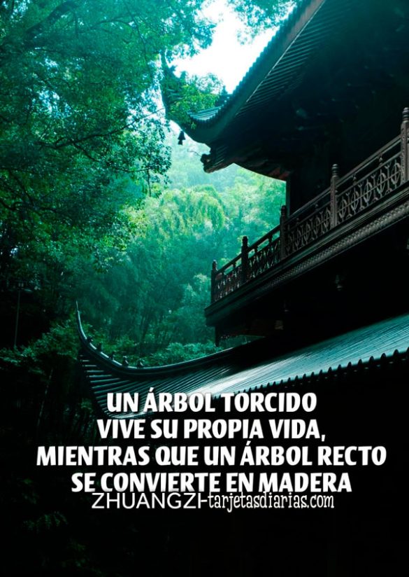 UN ÁRBOL TORCIDO VIVE SU PROPIA VIDA, MIENTRAS QUE UN ÁRBOL RECTO SE CONVIERTE EN MADERA