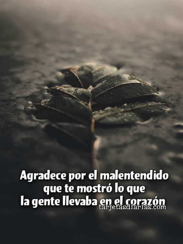AGRADECE POR EL MALENTENDIDO QUE TE MOSTRÓ LO QUE LA GENTE LLEVABA EN EL CORAZÓN