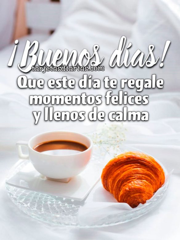 ¡BUENOS DÍAS! QUE ESTE DÍA TE REGALE MOMENTOS FELICES Y LLENOS DE CALMA