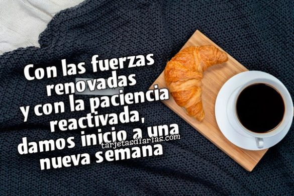 CON LAS FUERZAS RENOVADAS Y CON LA PACIENCIA REACTIVADA, DAMOS INICIO A UNA NUEVA SEMANA