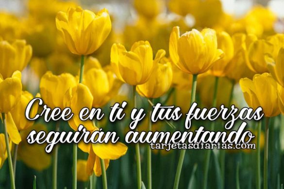 CREE EN TI Y TUS FUERZAS SEGUIRÁN AUMENTANDO