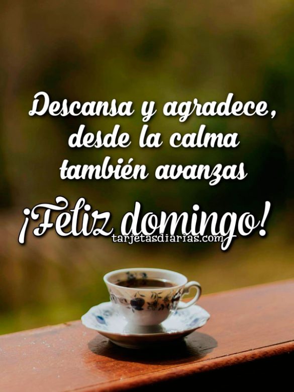 DESCANSA Y AGRADECE, DESDE LA CALMA TAMBIÉN AVANZAS. ¡FELIZ DOMINGO!