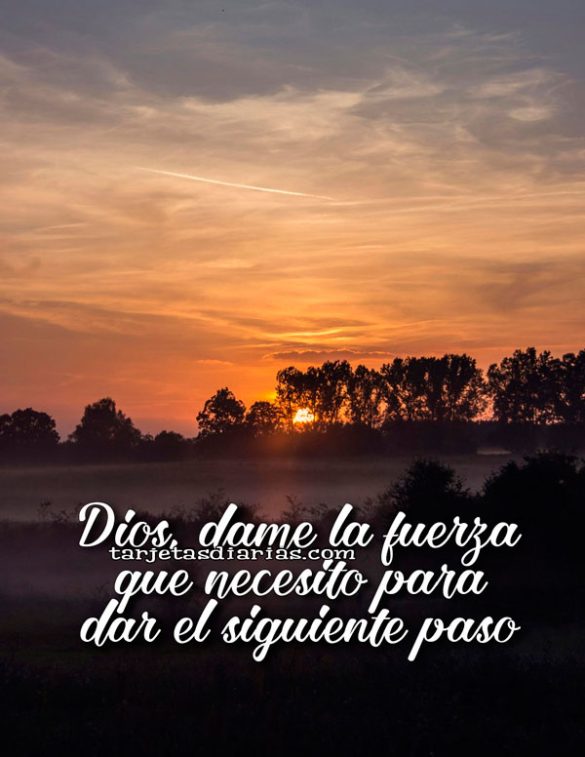 DIOS, DAME LA FUERZA QUE NECESITO PARA DAR EL SIGUIENTE PASO