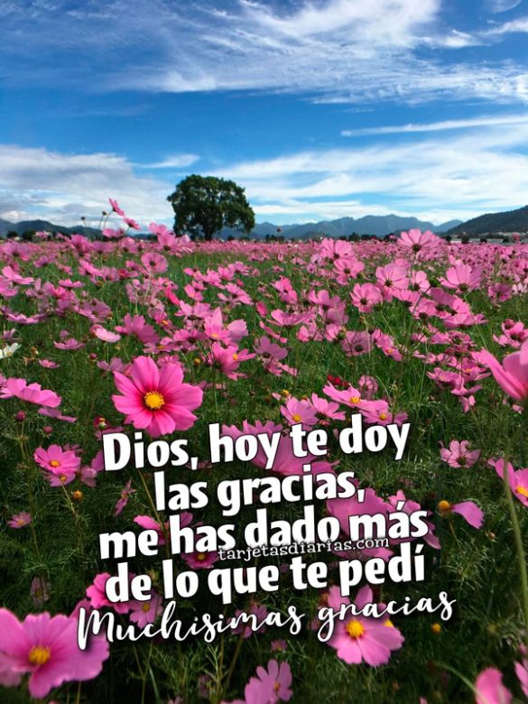DIOS, HOY TE DOY LAS GRACIAS, ME HAS DADO MÁS DE LO QUE TE PEDÍ. MUCHÍSIMAS GRACIAS
