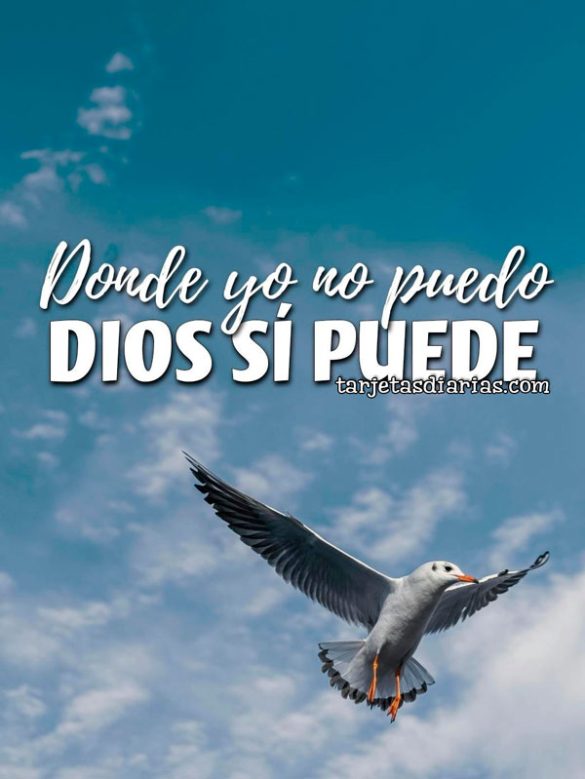DÓNDE YO NO PUEDO, DIOS SÍ PUEDE