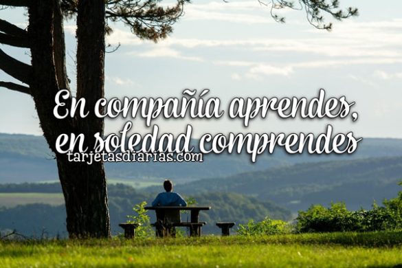 EN COMPAÑÍA APRENDES, EN SOLEDAD COMPRENDES
