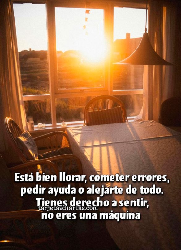 ESTÁ BIEN LLORAR, COMETER ERRORES, PEDIR AYUDA O ALEJARSE DE TODO