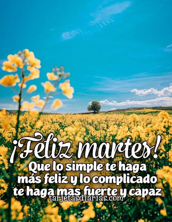 ¡FELIZ MARTES! QUE LO SIMPLE TE HAGA MÁS FELIZ Y LO COMPLICADO TE HAGA MÁS FUERTE Y CAPAZ
