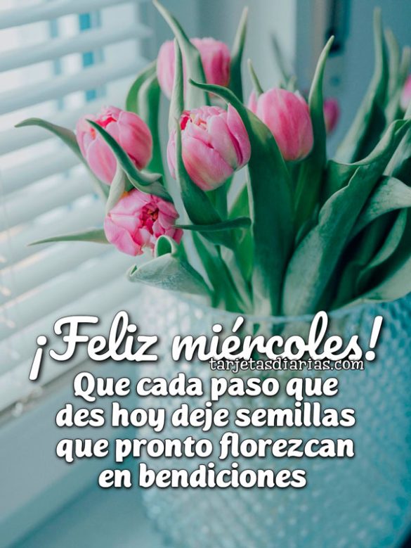 ¡FELIZ MIÉRCOLES! QUE CADA PASO QUE DES HOY DEJE SEMILLAS QUE PRONTO FLOREZCAN EN BENDICIONES