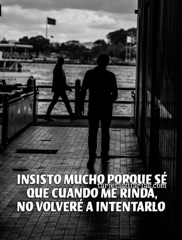 INSISTO MUCHO PORQUE SÉ QUE CUANDO ME RINDA NO VOLVERÉ A INTENTARLO