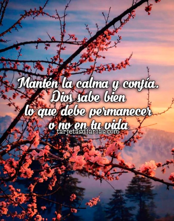 MANTÉN LA CALMA Y CONFÍA. DIOS SABE BIEN LO QUE DEBE PERMANCER O NO EN TU VIDA