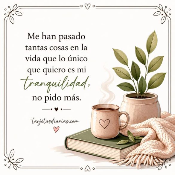 ME HAN PASADO TANTAS COSAS EN LA VIDA QUE LO ÚNICO QUE QUIERO ES MI TRANQUILIDAD, NO PIDO MÁS