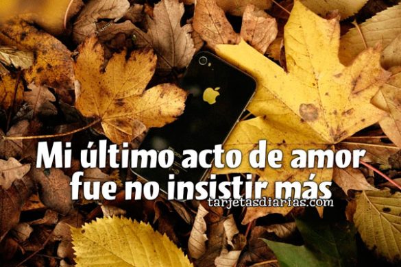 MI ÚLTIMO ACTO DE AMOR FUE NO INSISTIR MÁS