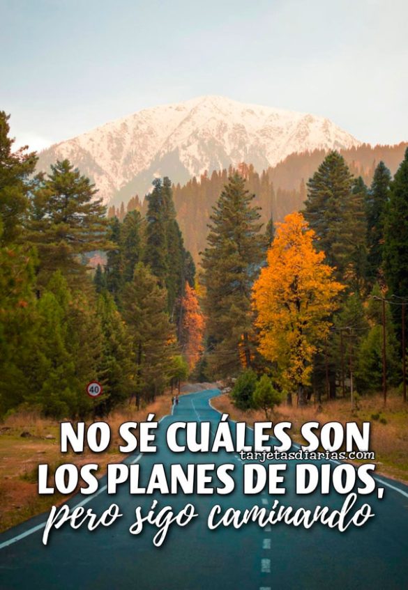 NO SÉ CUÁLES SON LOS PLANES DE DIOS, PERO SIGO CAMINANDO
