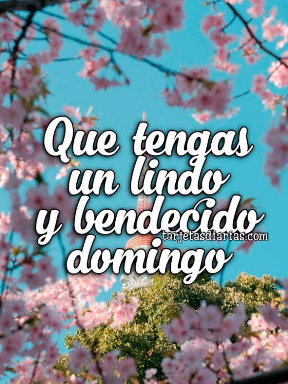 QUE TENGAS UN LINDO Y BENDECIDO DOMINGO