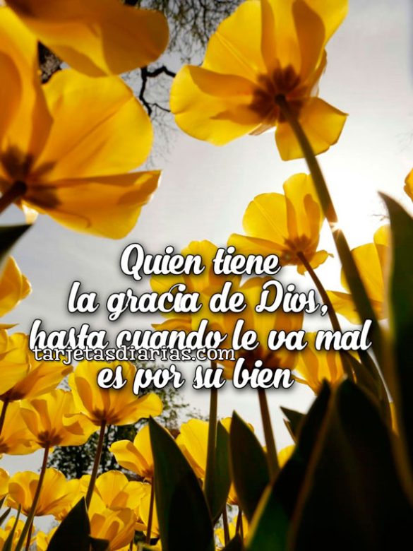 QUIEN TIENE LA GRACIA DE DIOS, HASTA CUANDO LE VA MAL ES POR SU BIEN