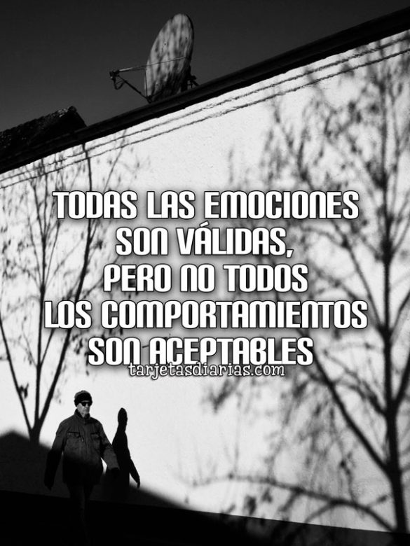 TODAS LAS EMOCIONES SON VÁLIDAS, PERO NO TODOS LOS COMPORTAMIENTOS SON ACEPTABLES