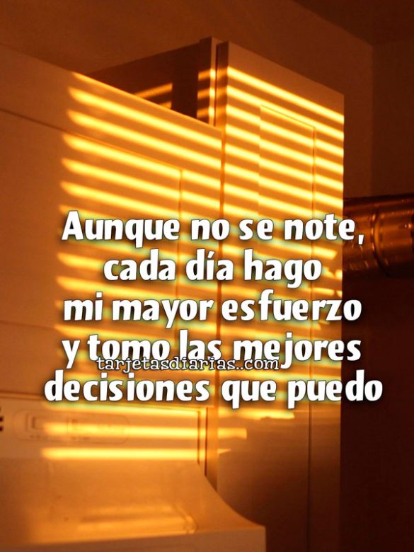 AUNQUE NO SE NOTE, CADA DÍA HAGO MI MAYOR ESFUERZO Y TOMO LAS MEJORES DECISIONES QUE PUEDO