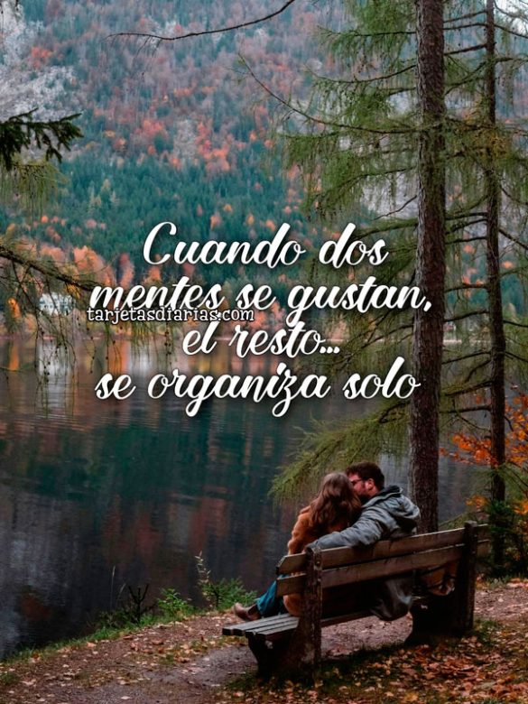 CUANDO DOS MENTES SE GUSTAN EL RESTO… SE ORGANIZA SOLO