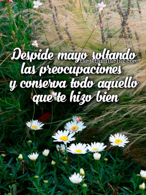 DESPIDE MAYO SOLTANDO LAS PREOCUPACIONES Y CONSERVA TODO AQUELLO QUE TE HIZO BIEN