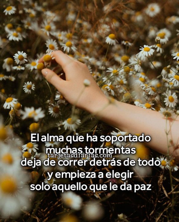 EL ALMA QUE HA SOPORTADO MUCHAS TORMENTAS DEJA DE CORRER DETRÁS DE TODO