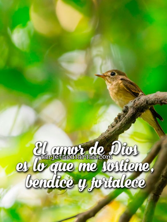 EL AMOR DE DIOS ES LO QUE ME SOSTIENE, BENDICE Y FORTALECE