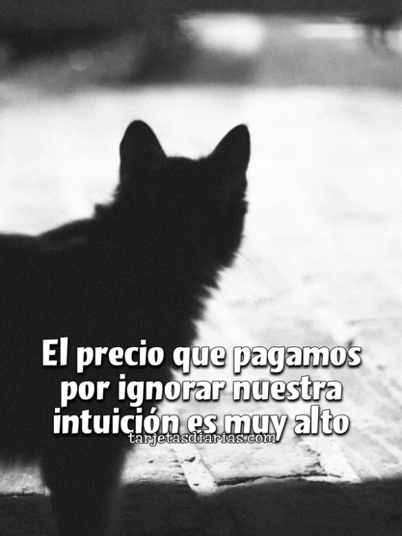 EL PRECIO QUE PAGAMOS POR IGNORAR NUESTRA INTUICIÓN ES MUY ALTO