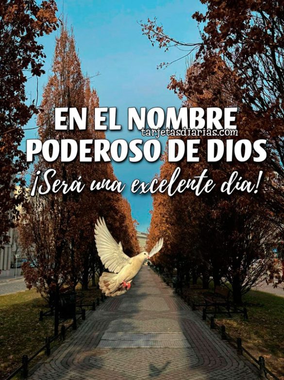 EN EL NOMBRE PODEROSO DE DIOS. ¡SERÁ UN EXCELENTE DÍA!
