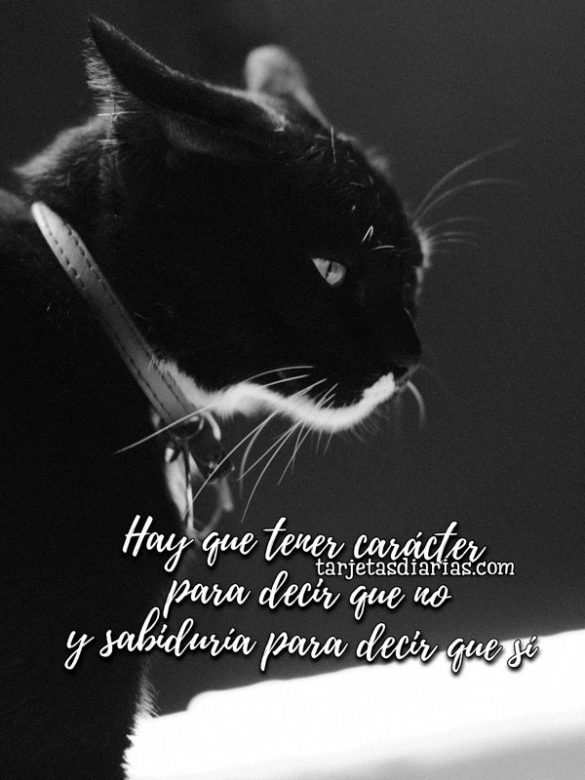 HAY QUE TENER CARÁCTER PARA DECIR QUE NO Y SABIDURÍA PARA DECIR QUE SÍ