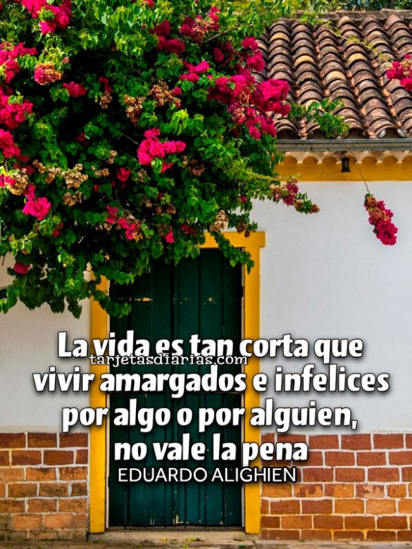 LA VIDA ES TAN CORTA QUE VIVIR AMARGADOS E INFELICES POR ALGO O POR ALGUIEN, NO VALE LA PENA