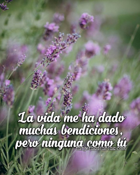 LA VIDA ME HA DADO MUCHAS BENDICIONES, PERO NINGUNA COMO TÚ