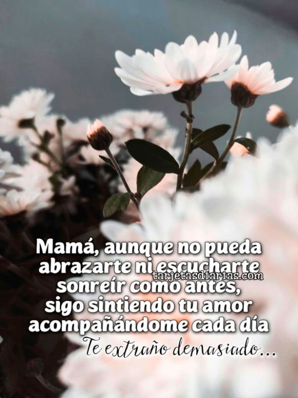 MAMÁ, AUNQUE NO PUEDA ABRAZARTE NI ESCUCHARTE SONREÍR COMO ANTES, SIGO SINTIENDO TU AMOR ACOMPAÑÁNDOME CADA DÍA