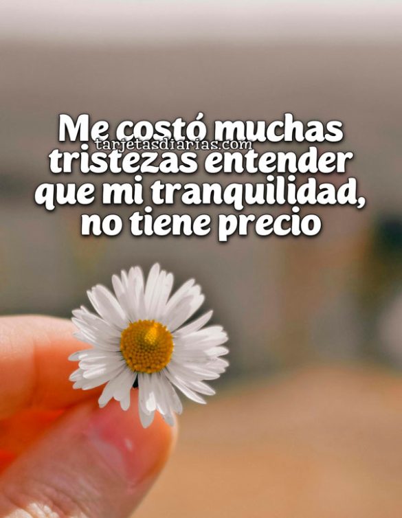 ME COSTÓ MUCHAS TRISTEZAS ENTENDER QUE MI TRANQUILIDAD NO TIENE PRECIO