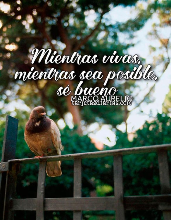 MIENTRAS VIVAS, MIENTRAS SEA POSIBLE, SÉ BUENO